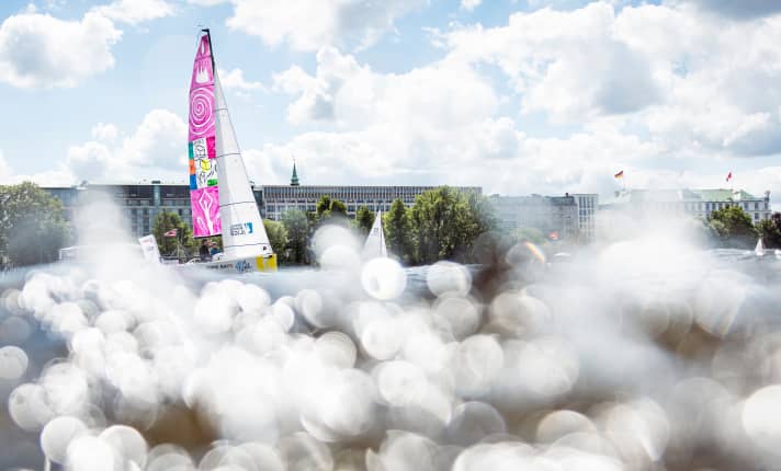   Un rêve d'Alster en rose ...