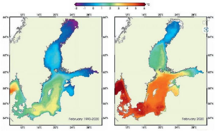 In den zurückliegenden 30 Jahren ist die Ostsee im Durchschnitt um 0,6 Grad Celsius wärmer geworden. Was nicht nach viel klingt, hat gravierende Folgen. Fische, die ab einer bestimmen Temperatur ins Laichgebiet ziehen, sind nun zu früh dran, da die geschlüpften Larven noch keine Nahrung finden