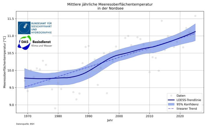 Since the 1970s, the sea surface temperature of the North Sea has only travelled in one direction on average - upwards