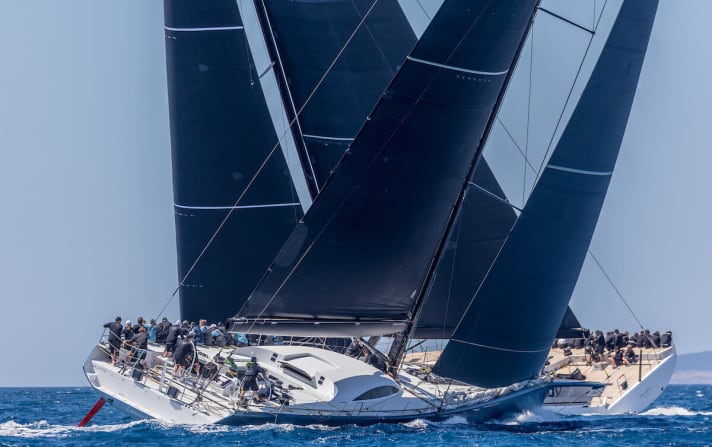   The beautiful Maxi encounter was captured by Spanish photographer Nico Martinez