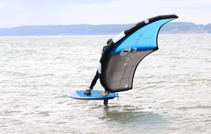 Takuma WK Wing