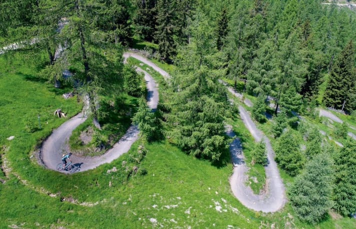 Mal durch den Mischwald, mal an Almen vorbei führt die Tour zum einsteigertauglichen Flow Country Trail.