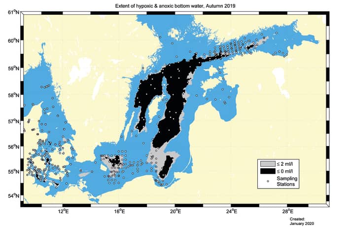 Die schwarzen Bereiche verdeutlichen die Zonen, in denen der Sauerstoff des Tiefenwassers aufgezehrt ist (Stand August 2019). Einströmendes Frischwasser kann die Lebensbedingungen hier wieder deutlich verbessern
