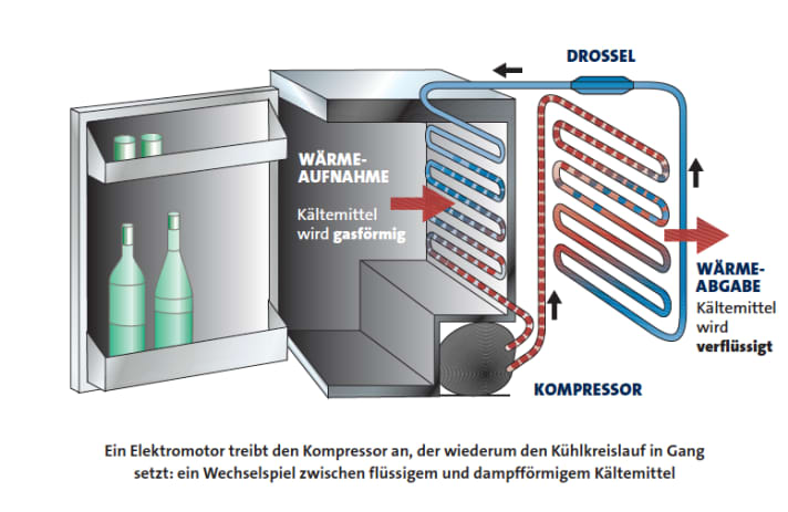   Favourite contents: chilled drinks. Installation location: the fridges are often located directly in the galley block. However, we also frequently find the solution in the opposite bench seat or in the cupboard on our test boats.
