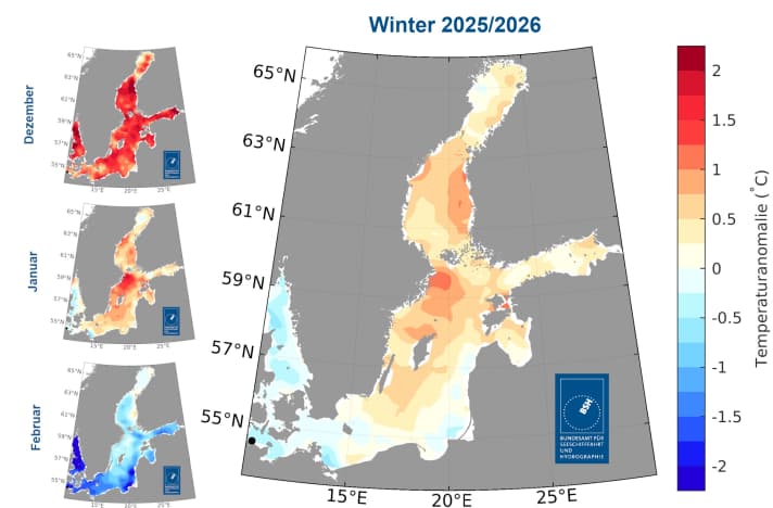 The Baltic Sea was also significantly colder on Germany's coasts than in many other areas