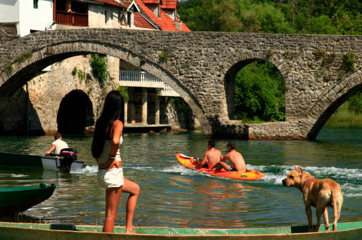   Meer aus Rosen: Der Skadarsee an der Grenze von Montenegro und Albanien.