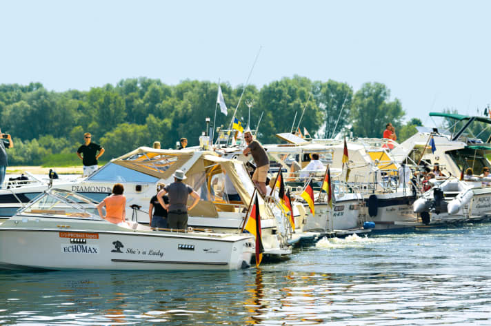   Real beauties: the Coronet meeting in Geesthacht