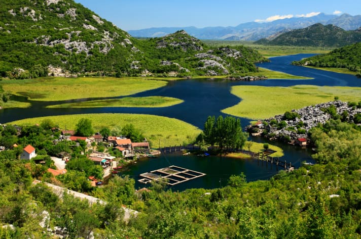   Meer aus Rosen: Der Skadarsee an der Grenze von Montenegro und Albanien.