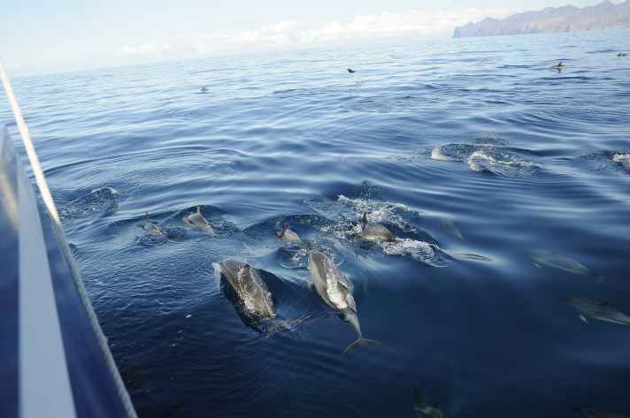 boot/spirit-of-the-sea_8fcda6f78d96e0bb472838eec5947f2a