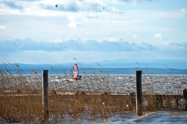 surf/M3183524