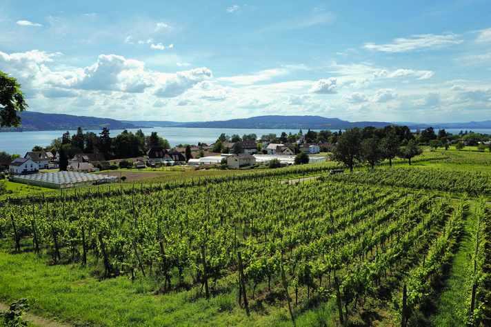 View of the Untersee from the Hochwart.