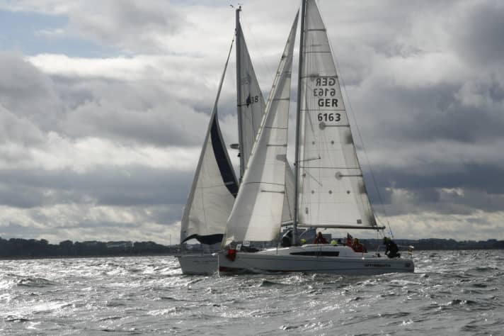   Mixed field - ocean sailing for everyone