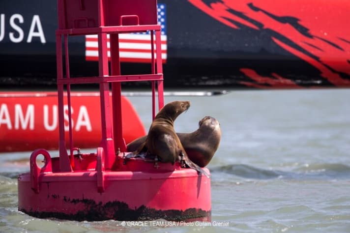   The tension among the spectators varied