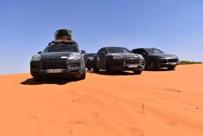 2023_02_S23_0113_fine