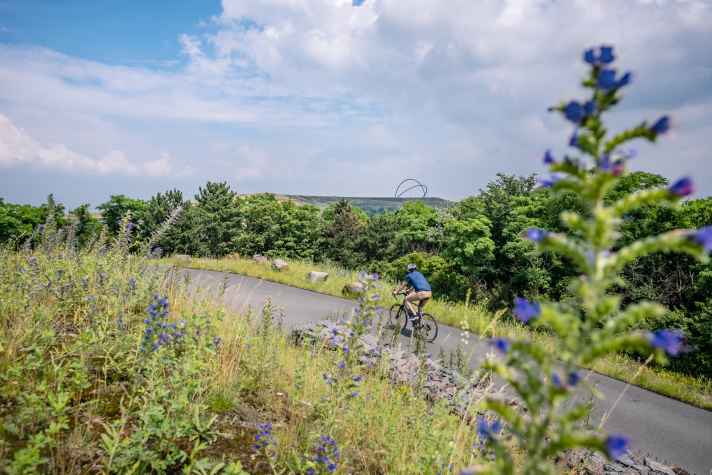 E-Bike_Tour_Mit_E_ist_doch_kein_Sport_ham_se_gesagt___Foto_Pascal_Tönnissen_pmhrhh