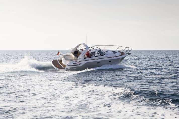 Bavaria Sport 31 | 31