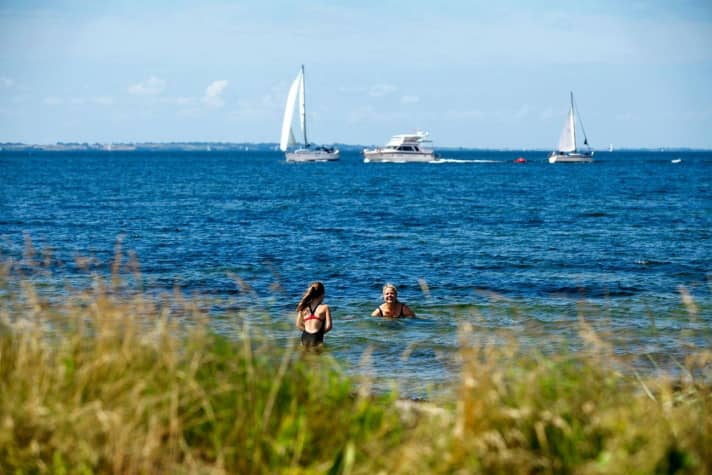 Birkholm