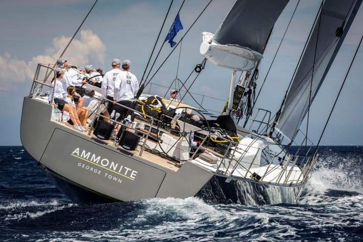„Ammonite“/Millenium Cup | up