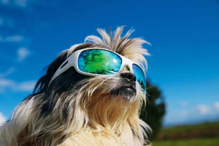 A clear view on the water: suitable goggles protect your eyes during water sports.