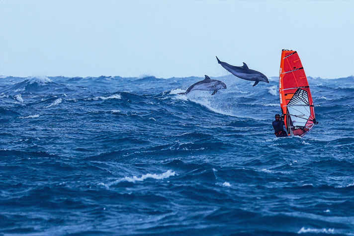 surf/100202376_faec95c34ecda47c19f0ae50864d562e