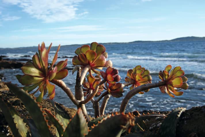 Auch in der Nebensaison ist das Wetter rund um Hyeres oft noch angenehm mild.