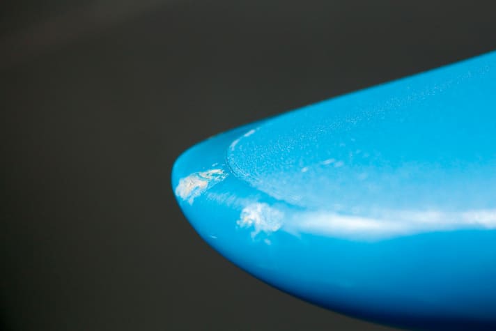 Picture no. 1: Brettnase