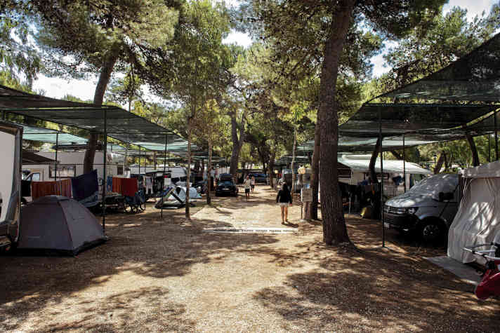 surf/fotoweb/100190035