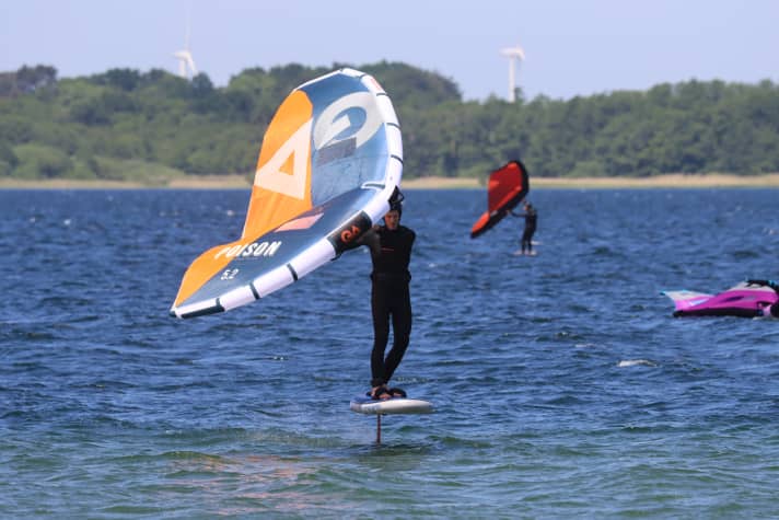 wing/img-8640_241f380fb55a4cac76350a89f05db096