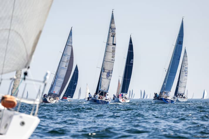 Wie hier bei der Aalregatta 2023 erwarten die Kieler Organisatoren auch für die WM 2023 ein “volles Haus” auf der Förde