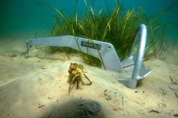 Ein Symbol der Hoffnung und der Rettung