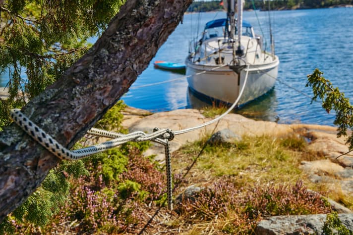 A tree should only be used as a bollard in an emergency