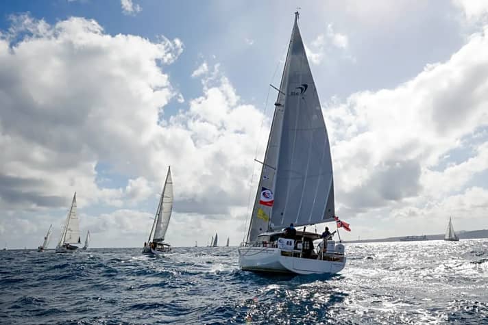 YACHT-Woche: ARC-January