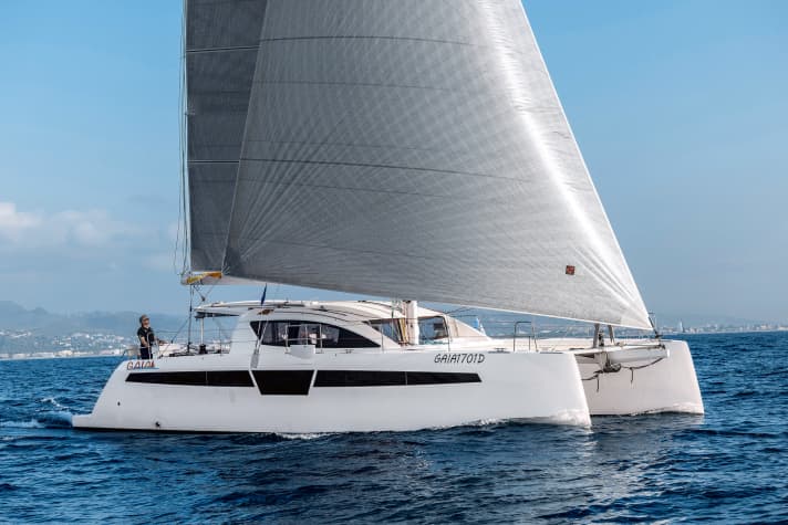 C-Cat 48