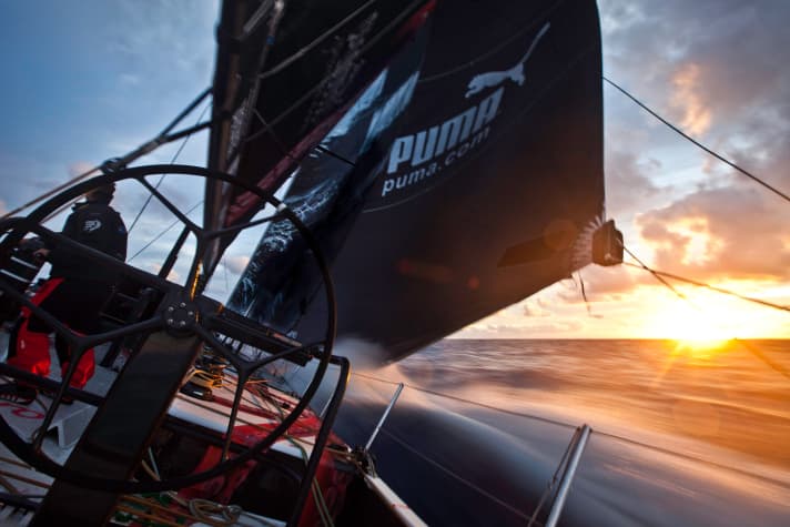   A so-called LA-Sunset on Puma