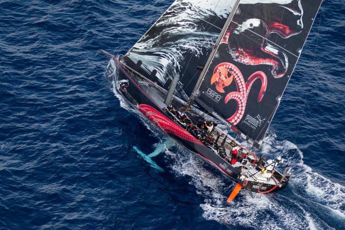   "Mar Mostro" in the Gulf Stream