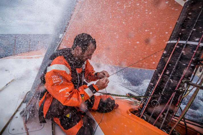   A typical day at the office: day-to-day work on board Team Alvimedica