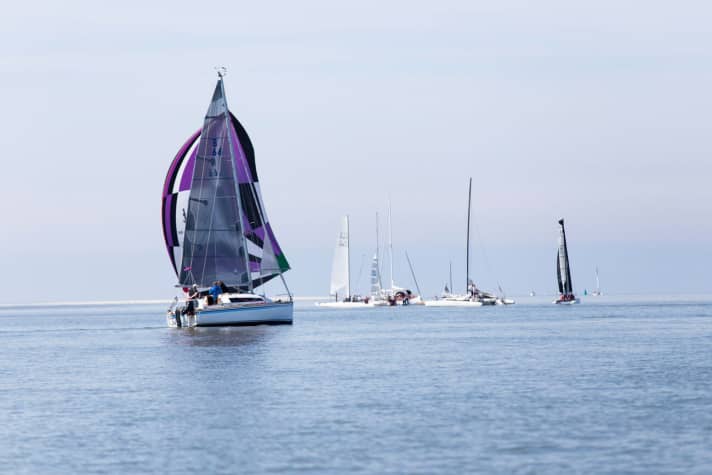   Un'imbarcazione molto popolare sulla costa - qui sotto spinnaker alla Spiekerooger Seesterngedächtnis Regatta 2015