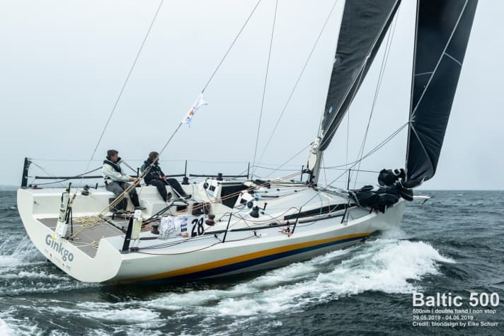   Ora hanno conquistato il secondo posto in classifica: Dirk e Jacob Clasen con il loro "Ginkgo".