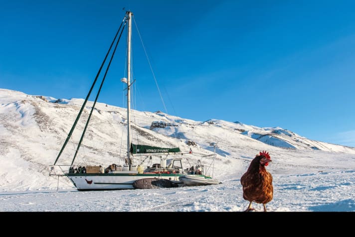   The "Yvinec" freezes for 130 days near Greenland. Monique explores the unfamiliar terrain