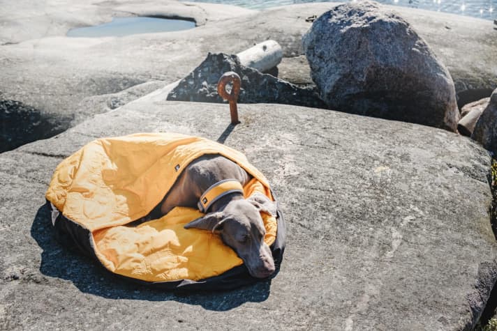 The Hurtta Outback Dreamer
