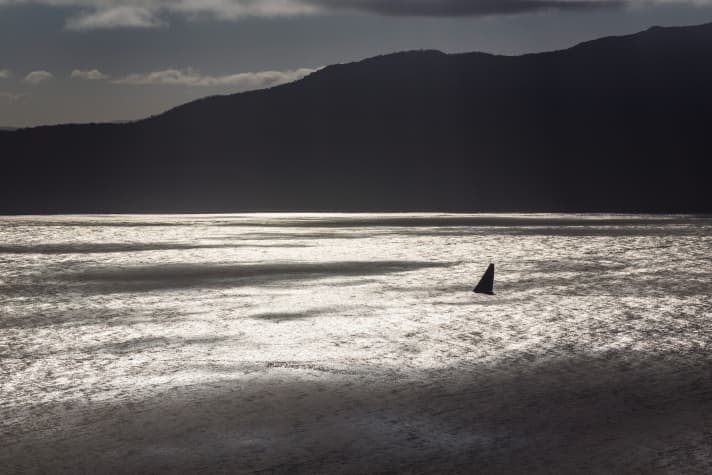   Beautiful impression of "Scallywag", owned by Seng Huang Lee and skippered by David Witt