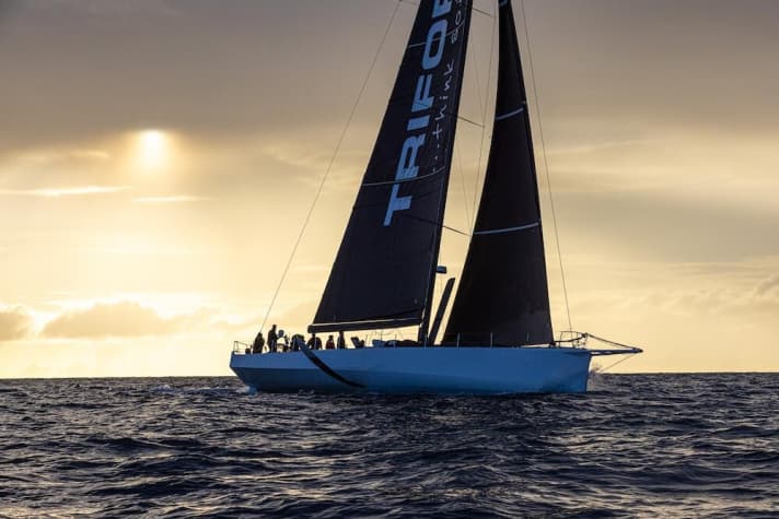   La voile transatlantique peut être aussi belle que cela : Le "L4 Trifork" danois sur la ligne d'arrivée