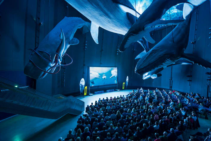 Ozeaneum, Stralsund