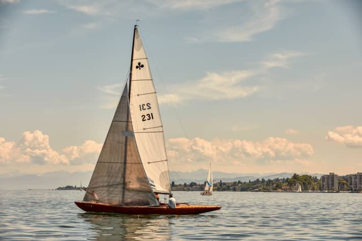 Le Lacustre contribue à l'image marquante du lac de Constance