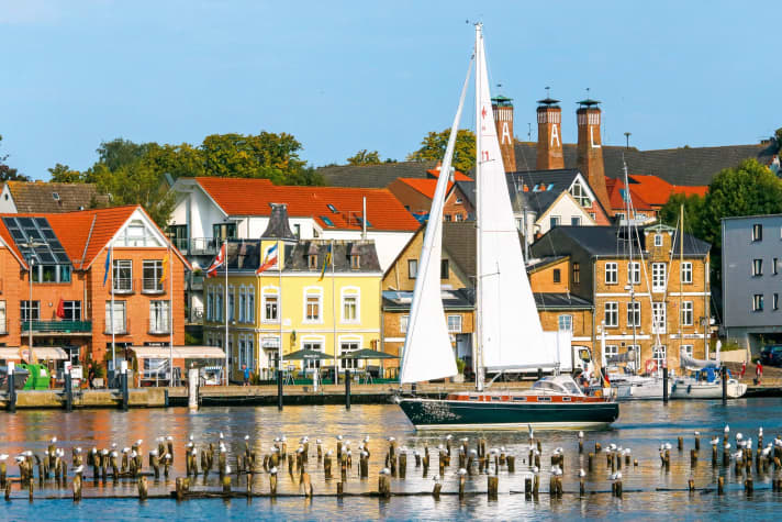 Un scalaire au large de Kappeln dans son secteur d'origine