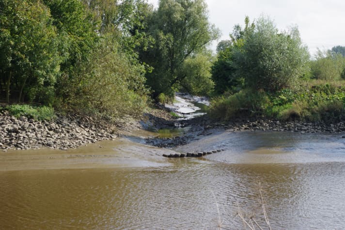 Tidal creeks and access roads are particularly affected by siltation