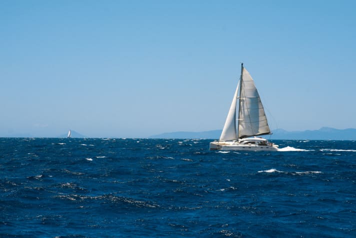 Catamaran swell