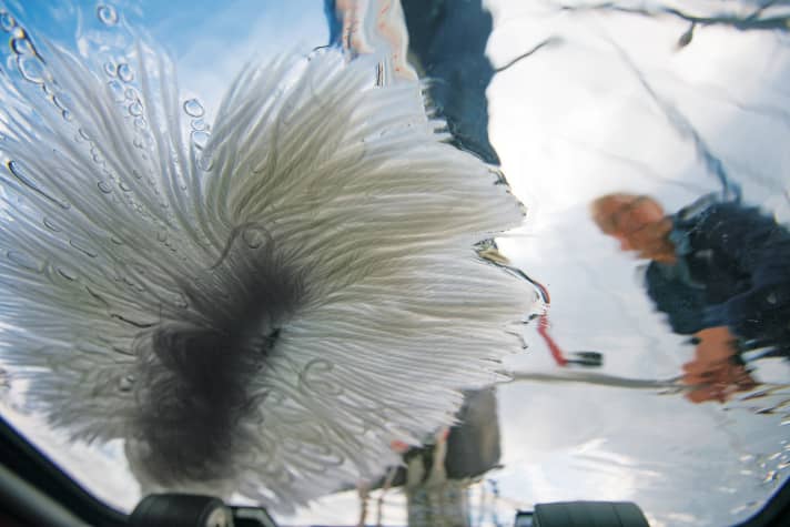 Start of the season: Cleaning agents