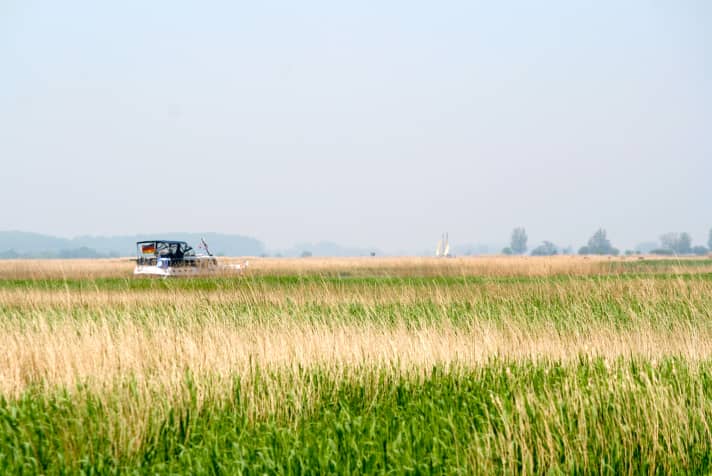   Friesland: