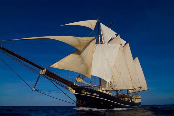   The three-masted schooner "Regina Maris"